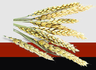 首页- Z6官网中国区人生就是博