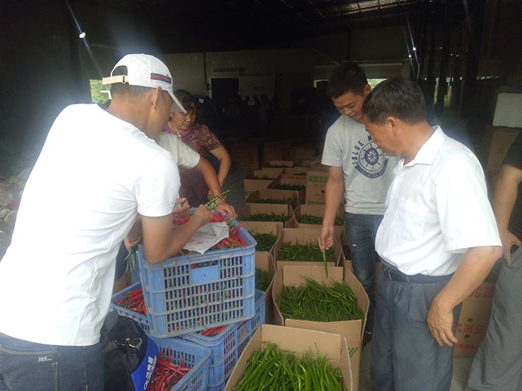 首页- Z6官网中国区人生就是博