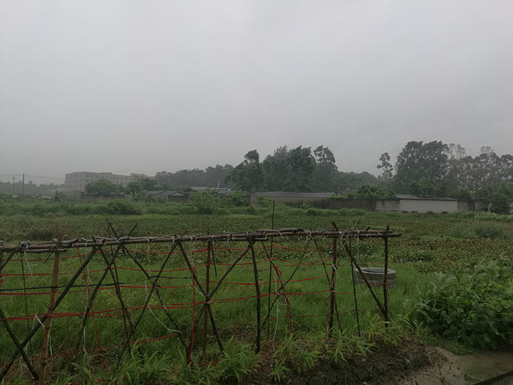 首页- Z6官网中国区人生就是博