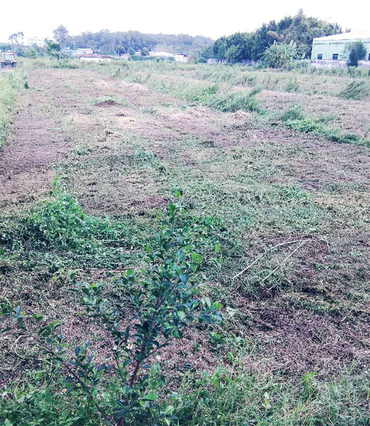 首页- Z6官网中国区人生就是博