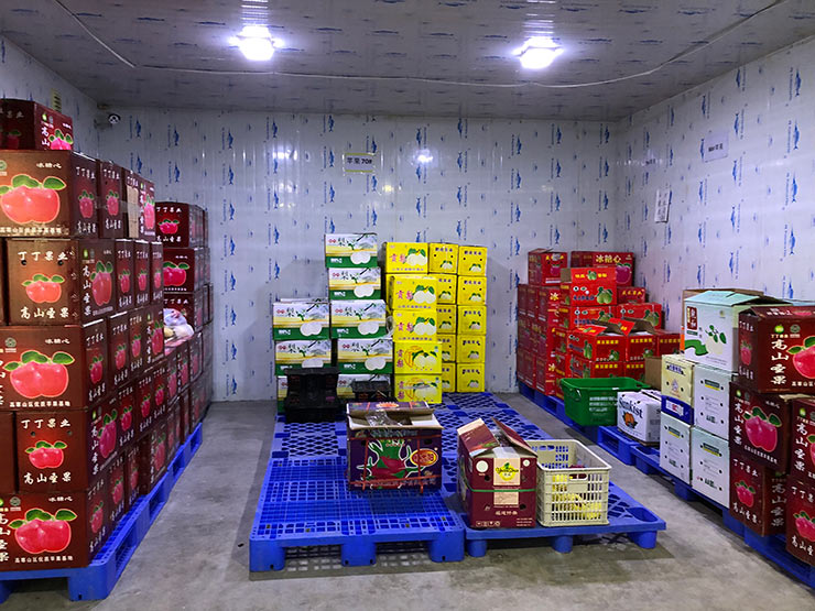 首页- Z6官网中国区人生就是博