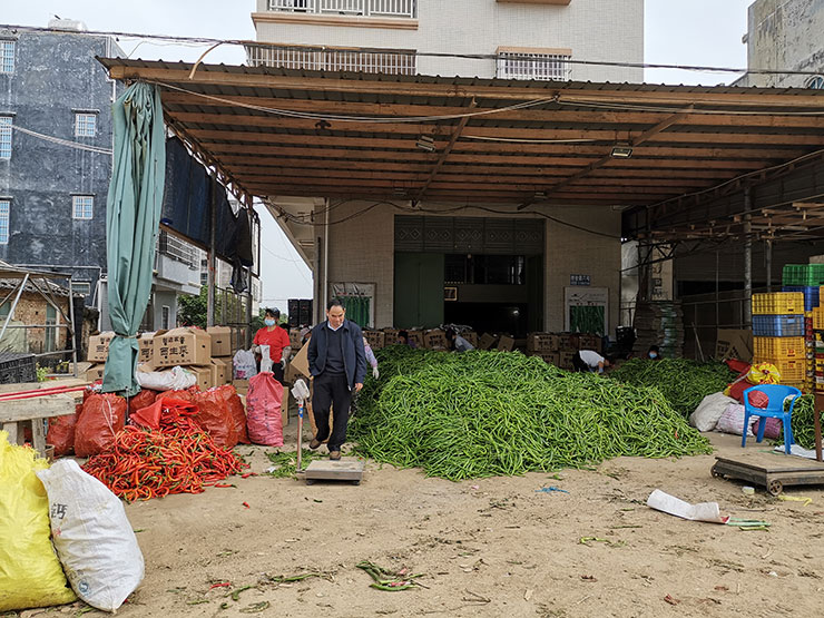 首页- Z6官网中国区人生就是博