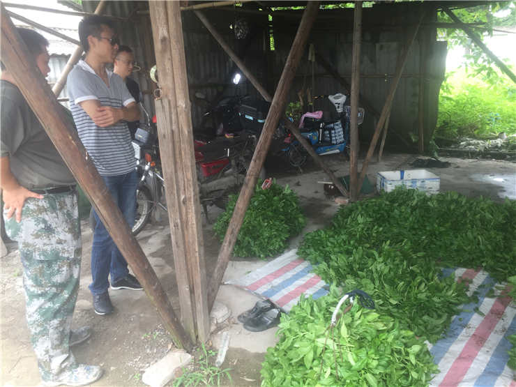 首页- Z6官网中国区人生就是博