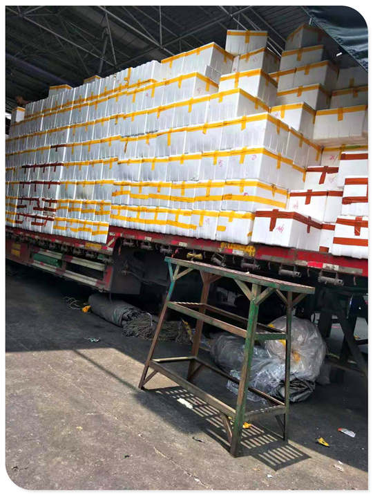 首页- Z6官网中国区人生就是博