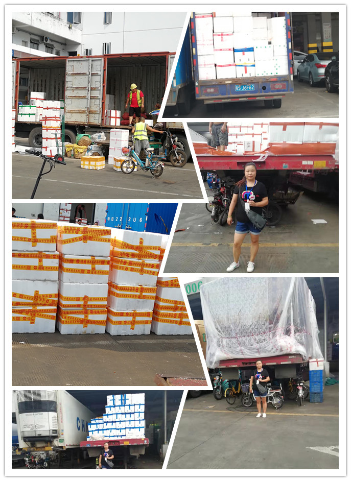 首页- Z6官网中国区人生就是博