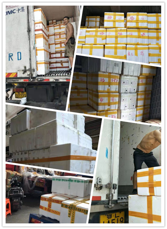 首页- Z6官网中国区人生就是博