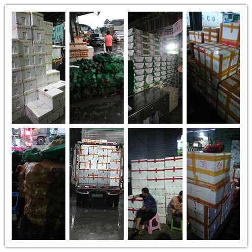 首页- Z6官网中国区人生就是博