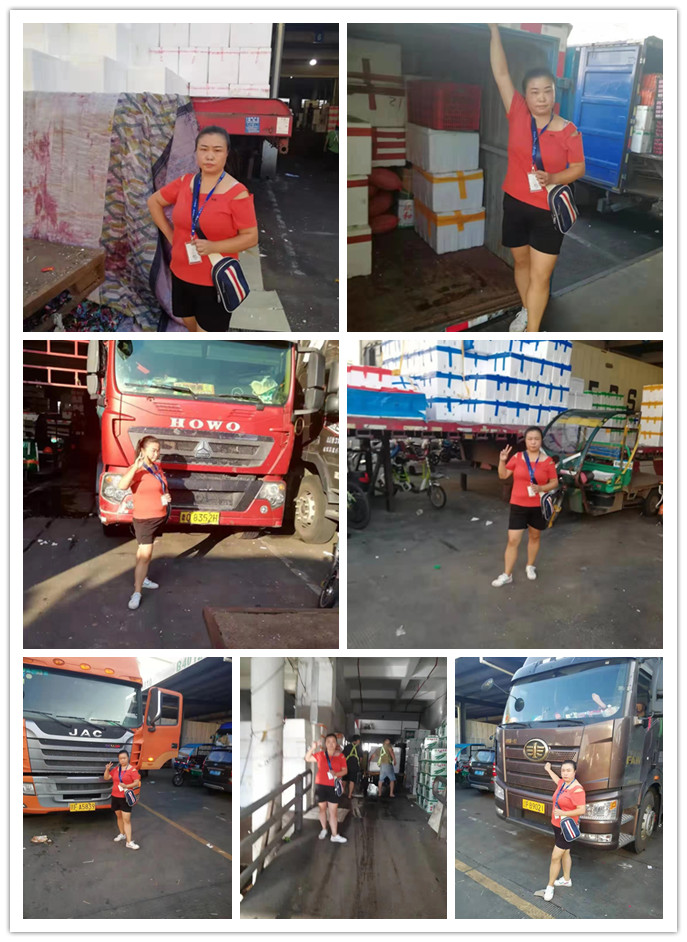 首页- Z6官网中国区人生就是博