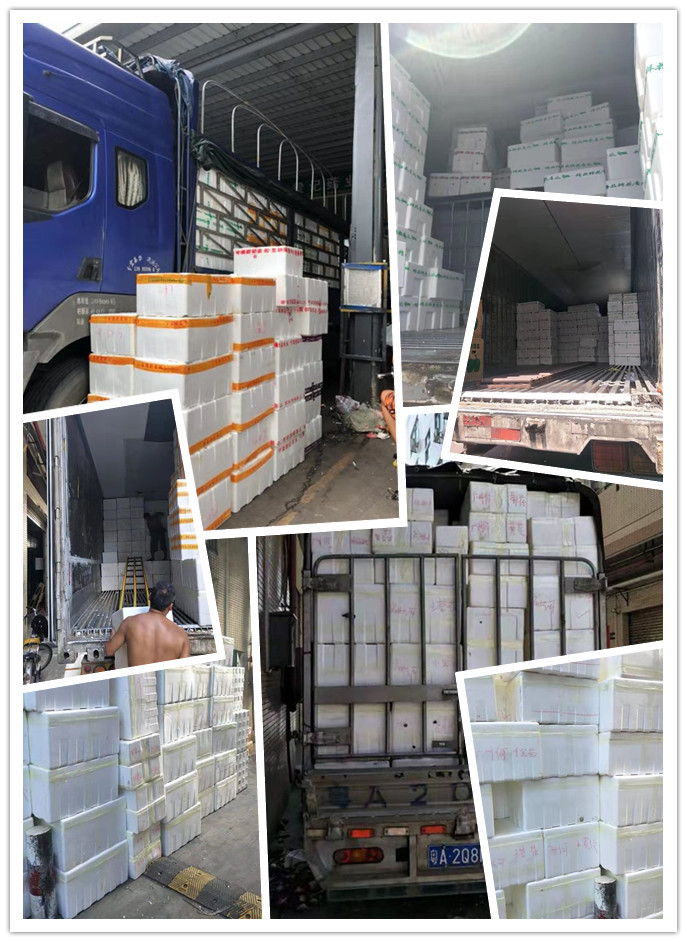 首页- Z6官网中国区人生就是博