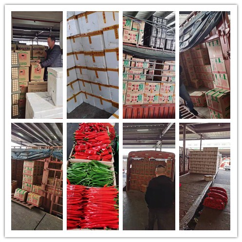 首页- Z6官网中国区人生就是博