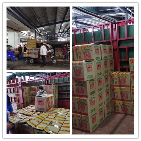 首页- Z6官网中国区人生就是博