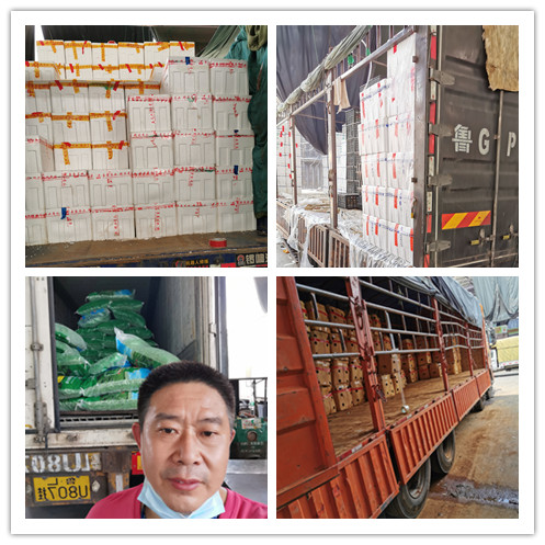 首页- Z6官网中国区人生就是博