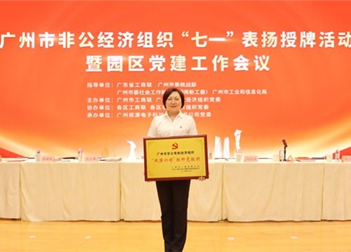 标杆引领，荣誉升级！集团党支部荣膺广州市非公有造经济组织“双强六好”标